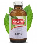 Cardo